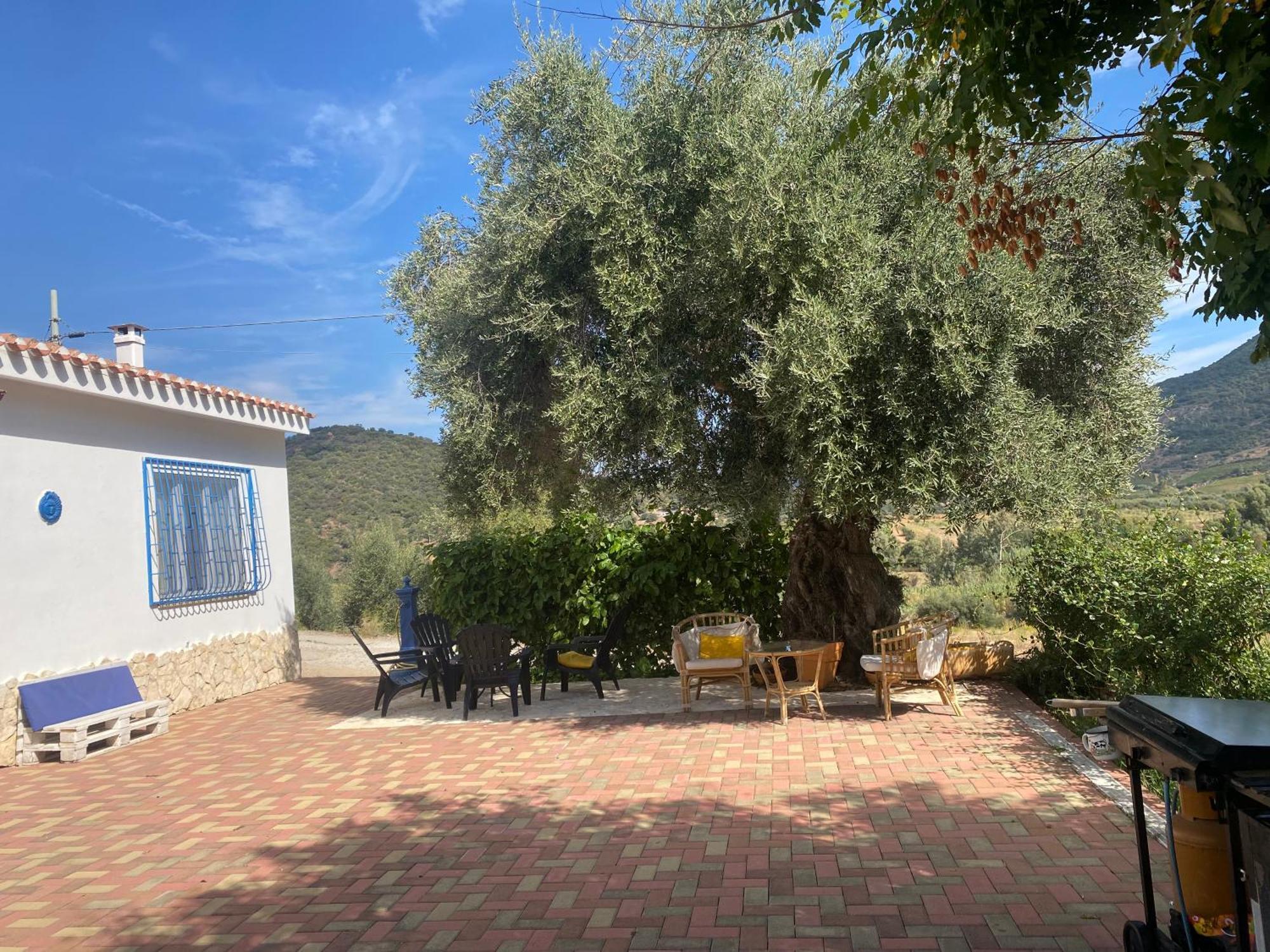Holiday home Domo Mea Cardedu
