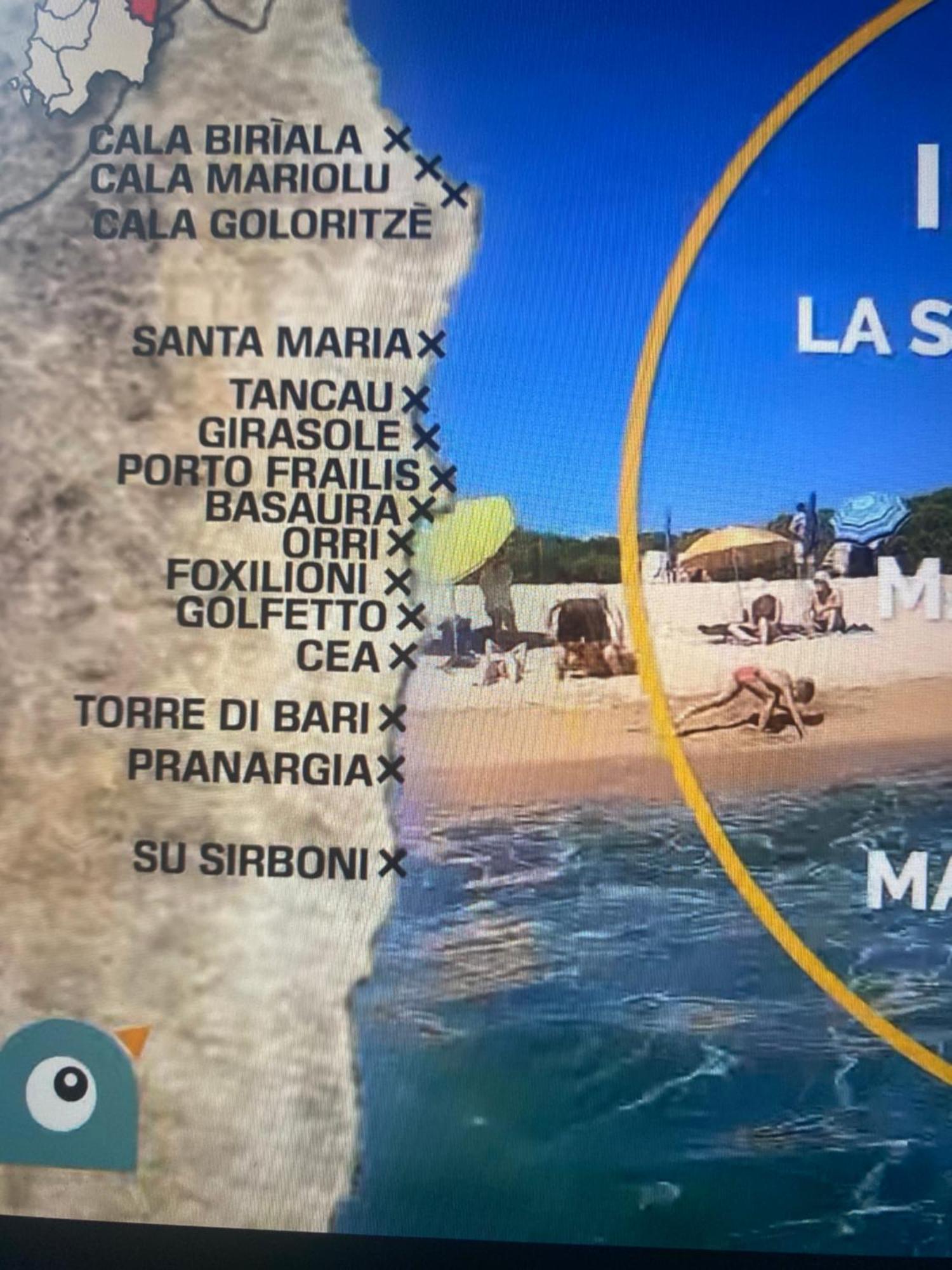 Domo Mea Cardedu